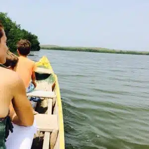 Mangrove tour