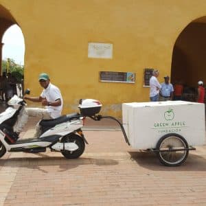 | WhatsApp Image 2020 09 14 at 9.49.19 AM 2 Fundation Green Apple